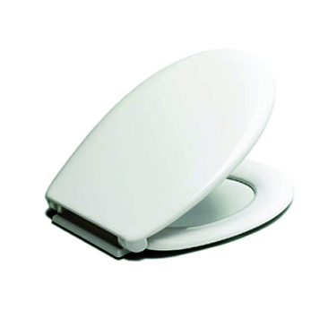 ACCESORI BANY 8500196600 SEIENT WC REINA (BR)